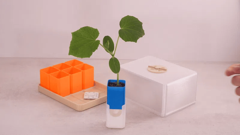 🌱 Revolutionär gärtnern: Das Pop-Up Mini-Gewächshaus für stressfreie Anzucht! 🌱