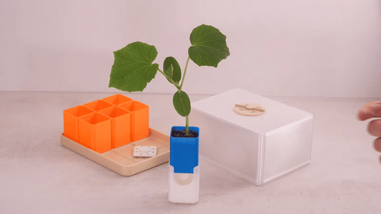 🌱 Revolutionär gärtnern: Das Pop-Up Mini-Gewächshaus für stressfreie Anzucht! 🌱